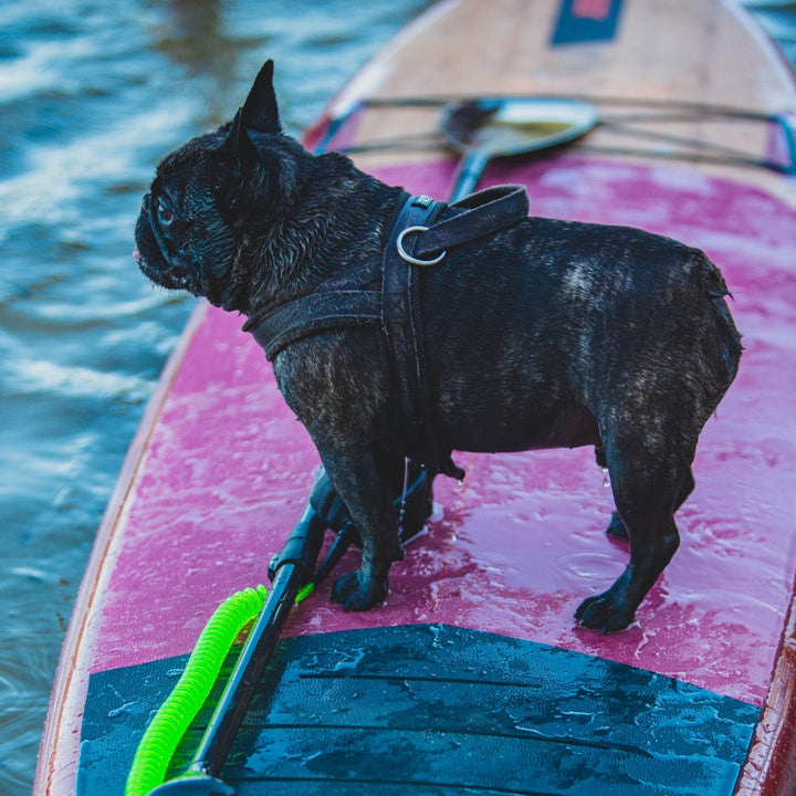 Bambuinen SUP lauta